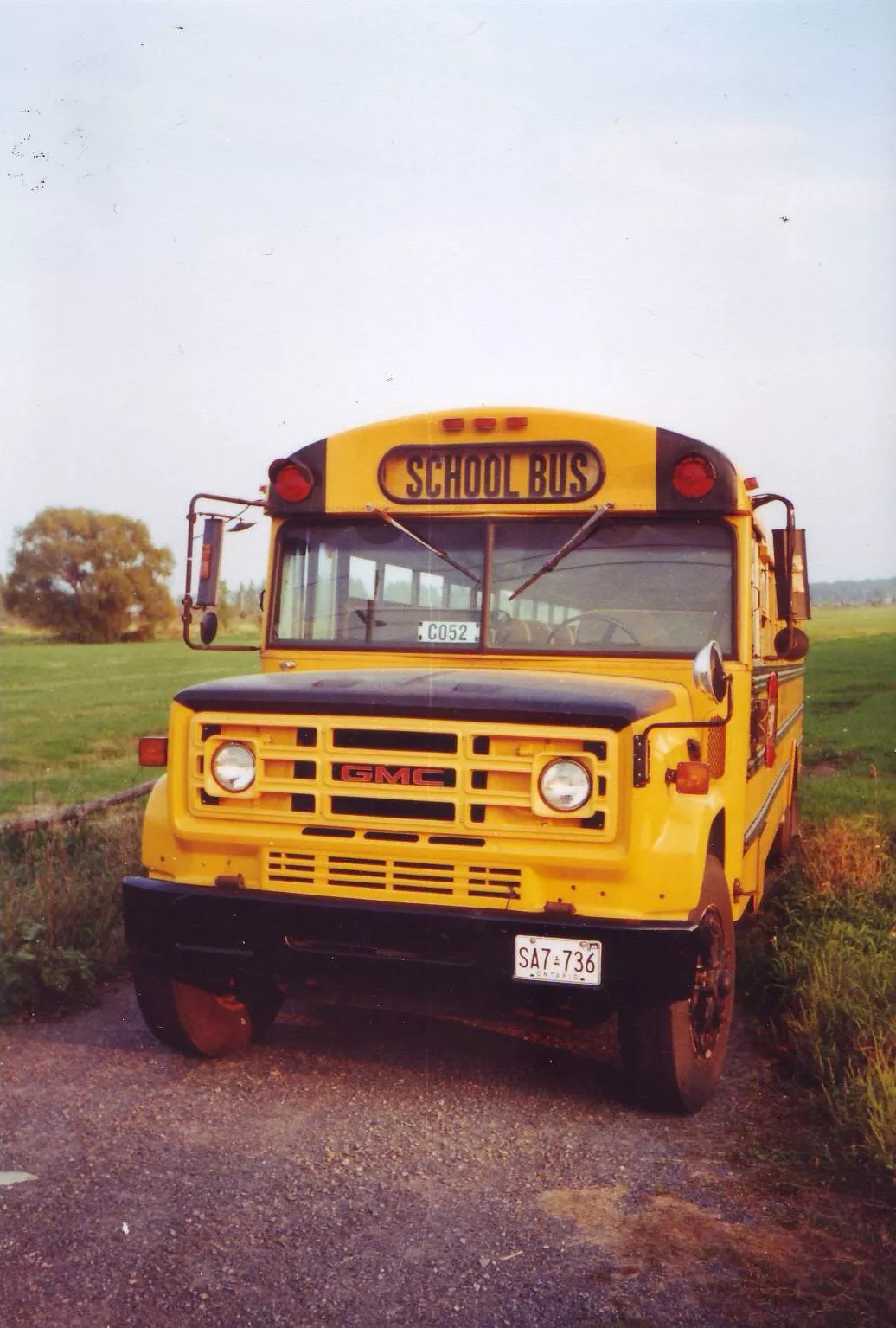 Kanadischer Schulbus Kanadischer Schulbus gelb