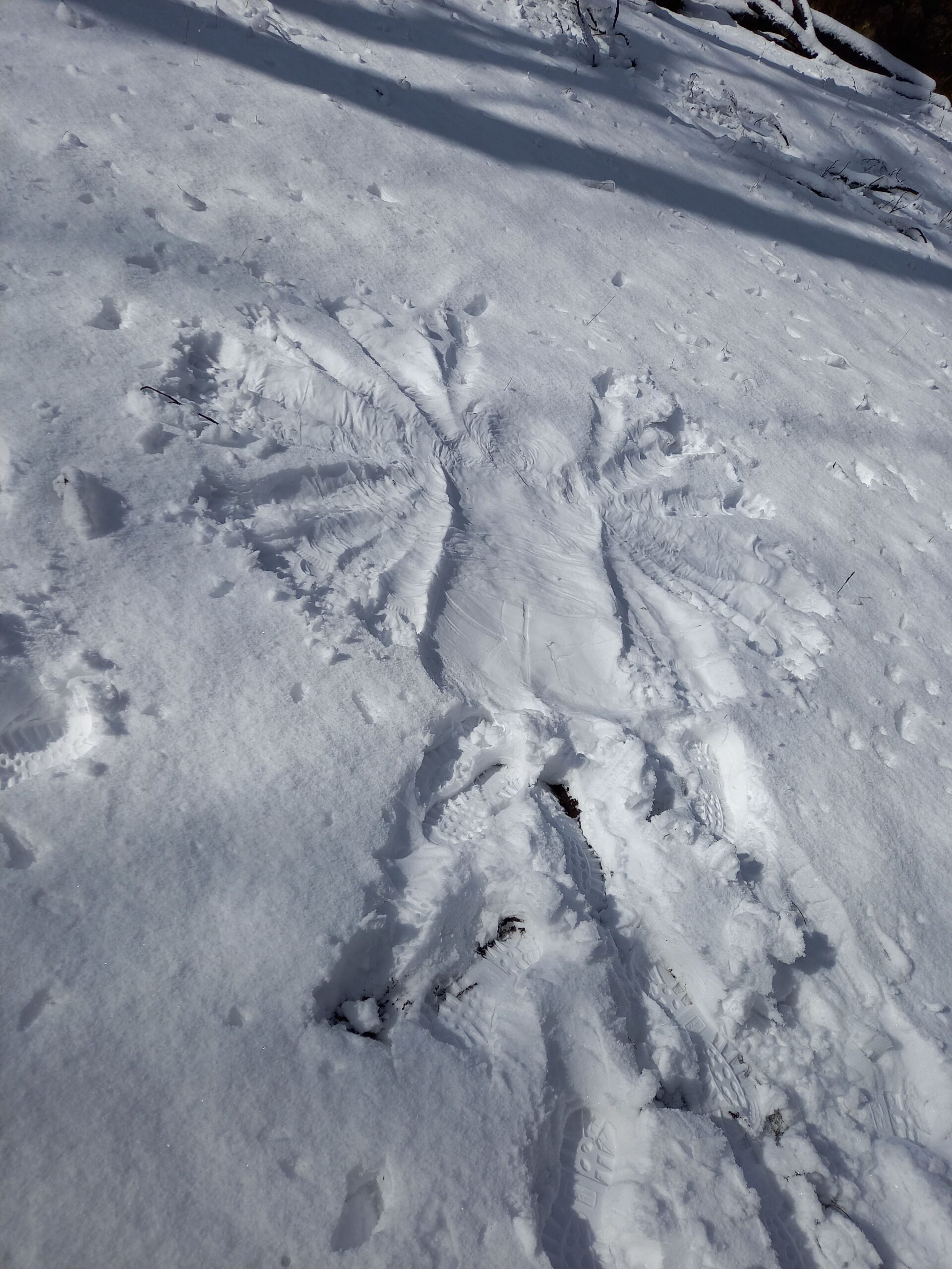 Schneeengel März 2023 Oasentage für Hochsensible